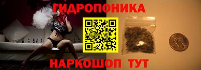 дурь Будённовск