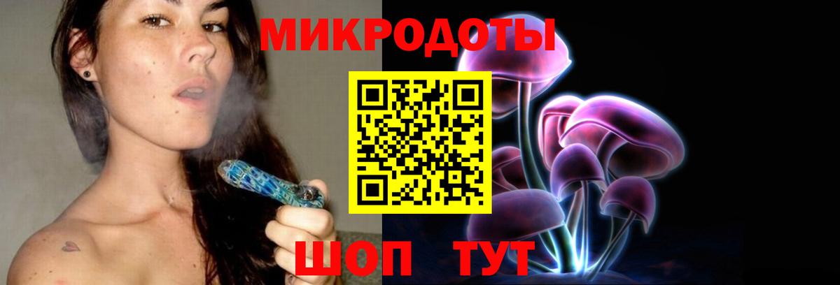 Псилоцибиновые грибы Cubensis Лабытнанги